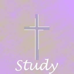 Bible Study