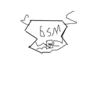 The Black Shadow Military  [BSM]