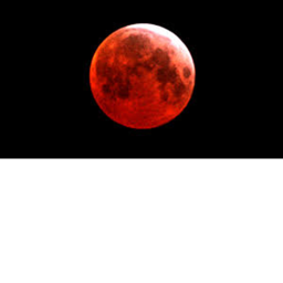NEW Blood moon scary forests NEW