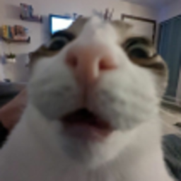 ツ
