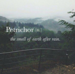 Petrichor haze
