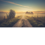 Foggy Farms