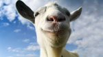 Goats Friends