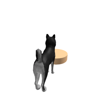 Husky morph