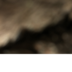 iiq_thebeast1