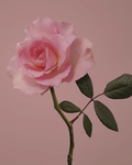 .RosesAreRed.