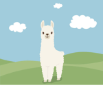 Llamas have swag