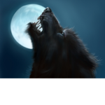 The WereWolves Howl