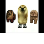 Floppa/Doge Group