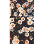 *Daisy’s Apparel*