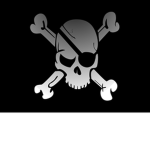 The Shadow Pirates (Pirate Navy)