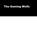 thegamingwolfs