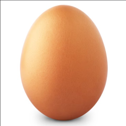 EGG
