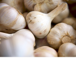 Garlic gang (Revisited)