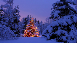 Christmas Event