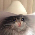 sad catto