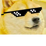MCDOG's