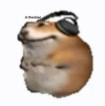 Loler Hamster Cartel