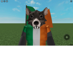 IRISH RATS UNITED