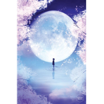 ~*Asthetic Moon Lights*~