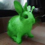 !~The Alien Bunny Lovers~!