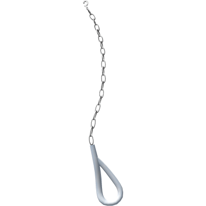 1.0 chain leash in blue