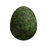 Regular Egg