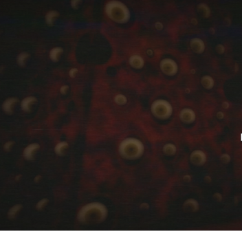 Flesh Monster eyes