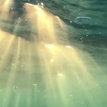 solasties