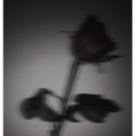 .Depressed