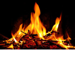 Hot Only :)