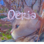 Oeria