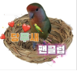 당무새 팬클럽 Dangmu Fan club
