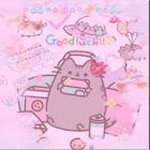 -+-kitty kats-+-