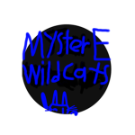 MysterE Wildcats