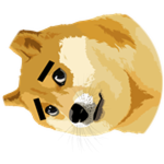 Perplexing Gravity Doge