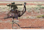 The Emu Army [TEA]