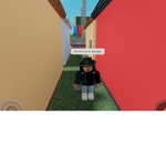 The Rouge Ninjas