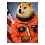 Doge astronaut