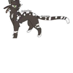 Warrior cats I guess.
