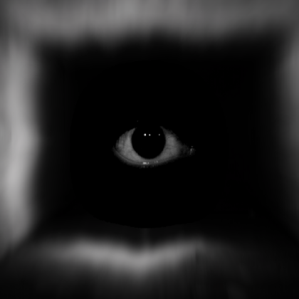 The Dark Eye of face horror. Roblox decal