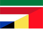Dutch Localization Institute