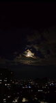 .*+Night+*.