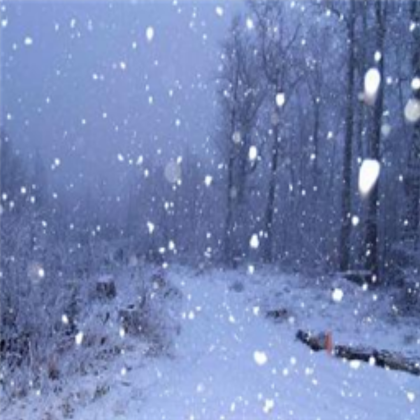 Snow Sky Box
