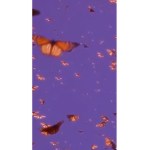 5kDiamondz