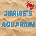 3bribe's Aquarium