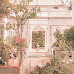 The Owl House Group/Club