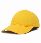 The Yellow Hat Project SCP