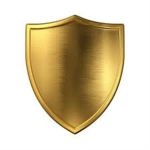 Kingdom of Modern Knights