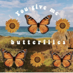 シ B u t t e r f l i e s シ